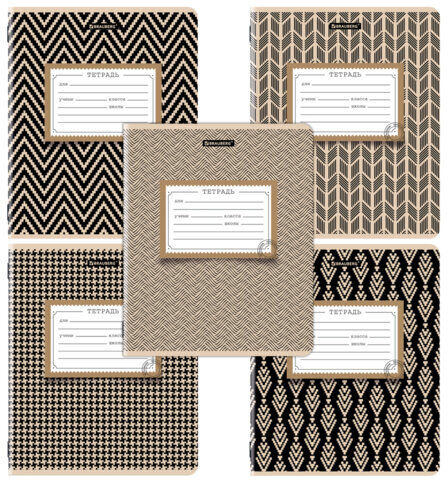 Тетрадь 12 л. BRAUBERG линия, обложка картон, TEXTURE, 107279