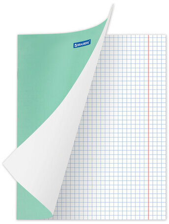 Тетрадь 18 л. BRAUBERG "ЭКО", клетка, обложка плотная мелованная бумага, ЗЕЛЕНАЯ ПАСТЕЛЬНАЯ, 105675
