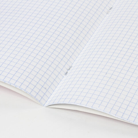 Тетрадь 18 л. BRAUBERG "ЭКО", клетка, обложка плотная мелованная бумага, ЗЕЛЕНАЯ ПАСТЕЛЬНАЯ, 105675