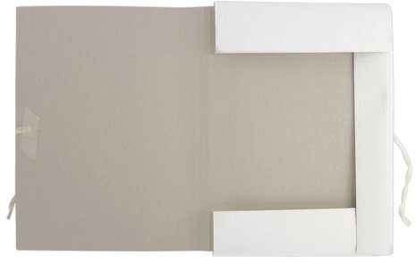 Папка для бумаг с завязками картонная мелованная BRAUBERG, 440 г/м2, до 200 листов, 110925