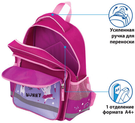 Рюкзак ПИФАГОР SCHOOL для начальной школы, Funny bunnies, 38х28х14 см, 229993
