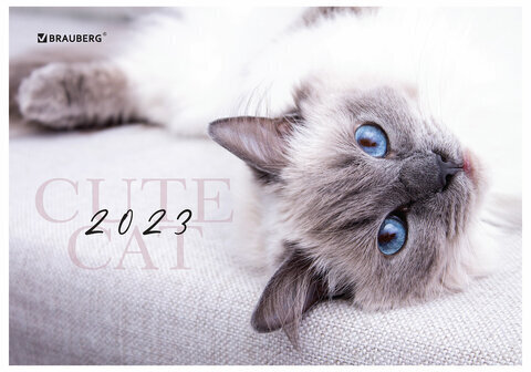 Календарь квартальный на 2023 г., 3 блока, 1 гребень, с бегунком, мелованная бумага, "CUTE CAT", BRAUBERG, 114268