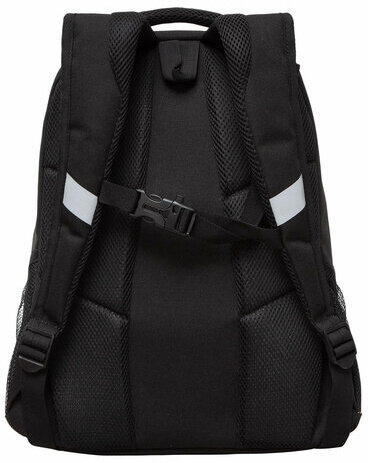 Рюкзак GRIZZLY школьный, анатомическая спинка, 2 отделения, для девочек, CATS IN LOVE, 40х29х20 см, RD-440-4/1