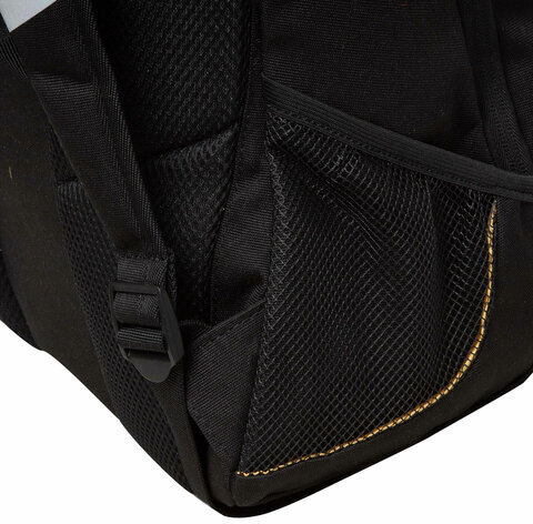 Рюкзак GRIZZLY школьный, анатомическая спинка, 2 отделения, для девочек, CATS IN LOVE, 40х29х20 см, RD-440-4/1