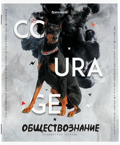 Тетрадь предметная "SPORT CLUB" 48 л., обложка картон, ОБЩЕСТВОЗНАНИЕ, клетка, подсказ, BRAUBERG, 404795