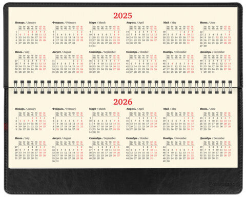 Планинг датированный 2025 305х140 мм BRAUBERG "Imperial", под кожу, черный, 115698