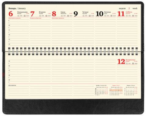 Планинг датированный 2025 305х140 мм BRAUBERG "Imperial", под кожу, черный, 115698