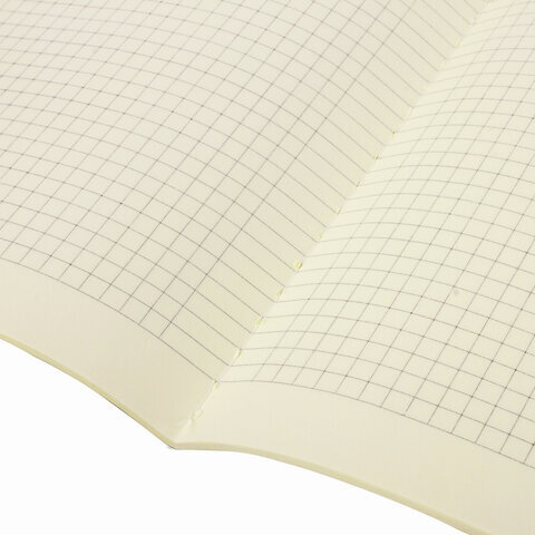 Тетрадь 48 л. в клетку обложка кожзам SoftTouch, сшивка, A5 (147х210мм), БЕЛЫЙ, BRAUBERG RAINBOW, 403881