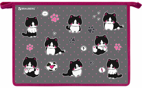 Папка для труда на молнии BRAUBERG А4, 2 отделения, органайзер, "Cat patches", 272211