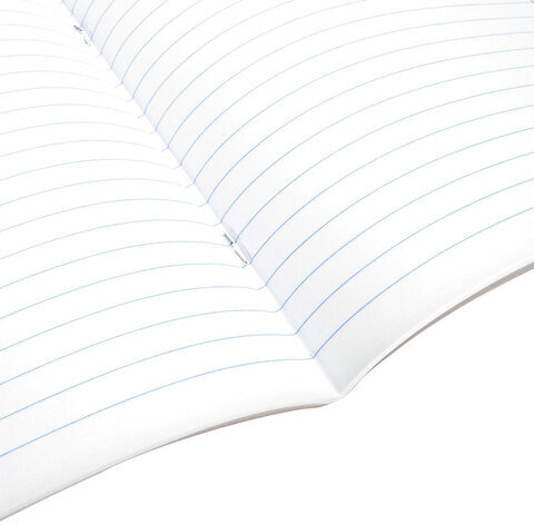 Тетрадь предметная "ELEGANCE" 48 л., SoftTouch, фольга, ЛИТЕРАТУРА, линия, BRAUBERG, 404552