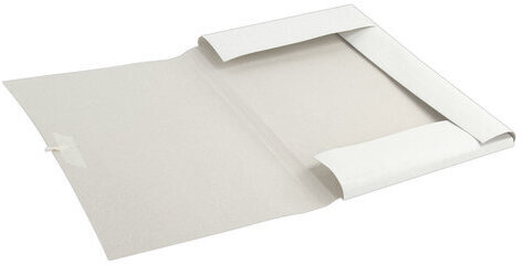 Папка для бумаг с завязками картонная BRAUBERG, 440 г/м2, до 200 листов, 110926