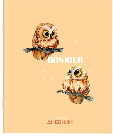 Дневник 1-11 класс 40 л., на скобе, ПИФАГОР, обложка картон, "Совушки", 106814