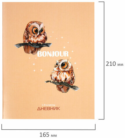 Дневник 1-11 класс 40 л., на скобе, ПИФАГОР, обложка картон, "Совушки", 106814