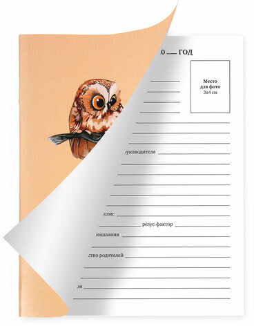 Дневник 1-11 класс 40 л., на скобе, ПИФАГОР, обложка картон, "Совушки", 106814