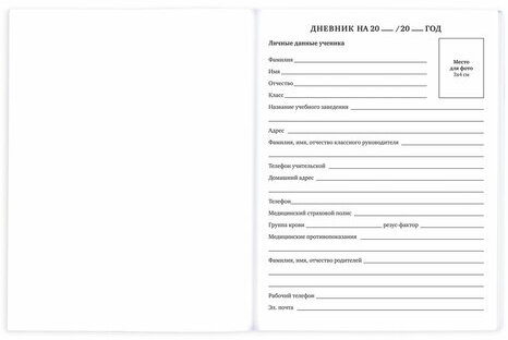 Дневник 1-11 класс 40 л., на скобе, ПИФАГОР, обложка картон, "Совушки", 106814