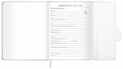 Дневник 1-11 класс 48 л., кожзам (твердая), магнитный клапан, ЮНЛАНДИЯ, "Футбол Аниме", 106929