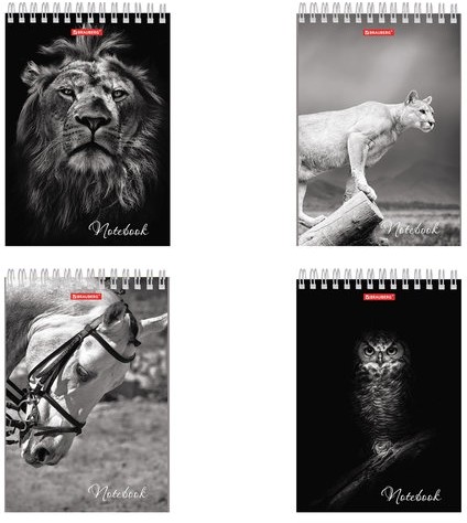 Блокнот А5 (146х205 мм), 60 л., гребень, картон, жесткая подложка, клетка, BRAUBERG, "Животные", 129810