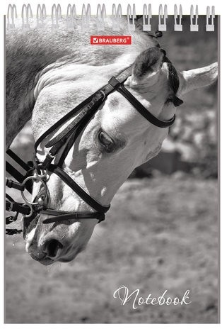 Блокнот А5 (146х205 мм), 60 л., гребень, картон, жесткая подложка, клетка, BRAUBERG, "Животные", 129810