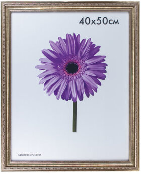 Рамка премиум 40х50 см, пластик, багет 33 мм, &quot;Dorothy&quot;, серебро, 0023-16-3330
