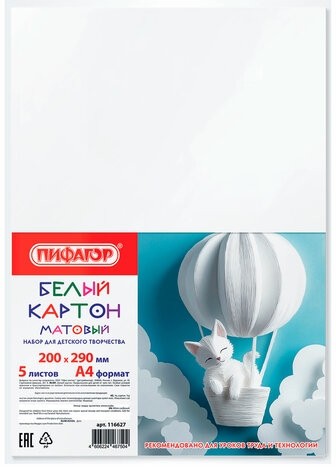 Картон белый А4 немелованный, 5 листов, ПИФАГОР, 200х290 мм, 116627