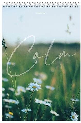 Блокнот БОЛЬШОЙ ФОРМАТ А4 198х297 мм, 80 л., гребень, жесткая подложка, клетка, BRAUBERG, "Calm", 114357