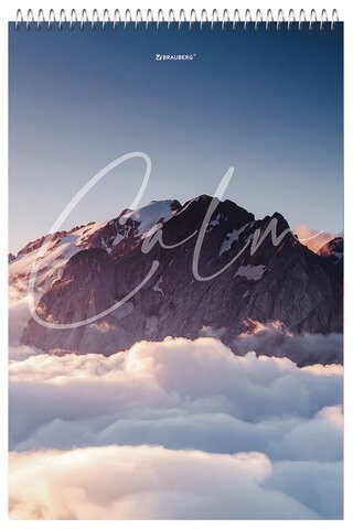 Блокнот БОЛЬШОЙ ФОРМАТ А4 198х297 мм, 80 л., гребень, жесткая подложка, клетка, BRAUBERG, "Calm", 114357