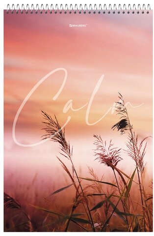 Блокнот БОЛЬШОЙ ФОРМАТ А4 198х297 мм, 80 л., гребень, жесткая подложка, клетка, BRAUBERG, "Calm", 114357