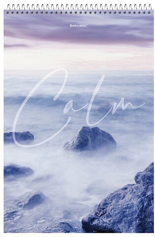 Блокнот БОЛЬШОЙ ФОРМАТ А4 198х297 мм, 80 л., гребень, жесткая подложка, клетка, BRAUBERG, "Calm", 114357