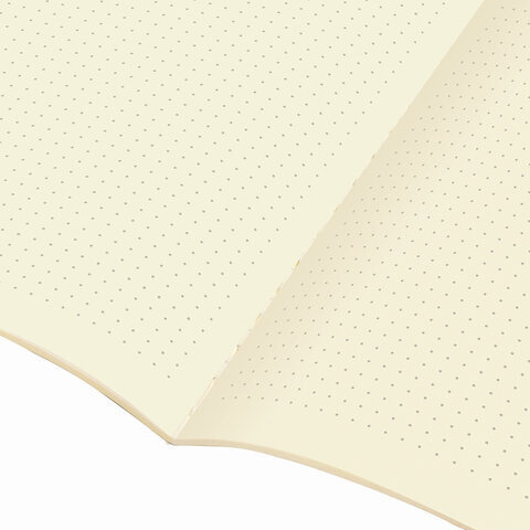 Тетрадь 48 л. в точку обложка кожзам SoftTouch, сшивка, A5 (147х210мм), РОЗОВЫЙ, BRAUBERG RAINBOW, 403882