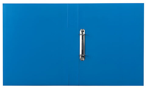Папка на 2 кольцах ESSELTE "Standard", 42 мм, картон/ПП, синяя, до 190 листов, 14452