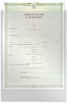 Папка-файл для свидетельства о рождении, 190х263 мм, без отверстий, ПВХ 120 мкм, "ДПС", 1746