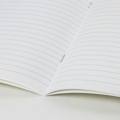 Тетрадь 12 л. BRAUBERG линия, обложка картон, DOGS, 107281