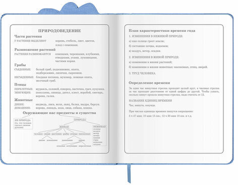 Дневник 1-4 класс 48 л., кожзам (твердая с поролоном), фигурный край, ЮНЛАНДИЯ, "КОТЕНОК", 105949