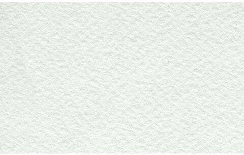 Папка для акварели БОЛЬШОГО ФОРМАТА А3, 10 л., 200 г/м2, бумага ГОЗНАК, среднее зерно, "Флора", ПАЗ/10, ПА3/10