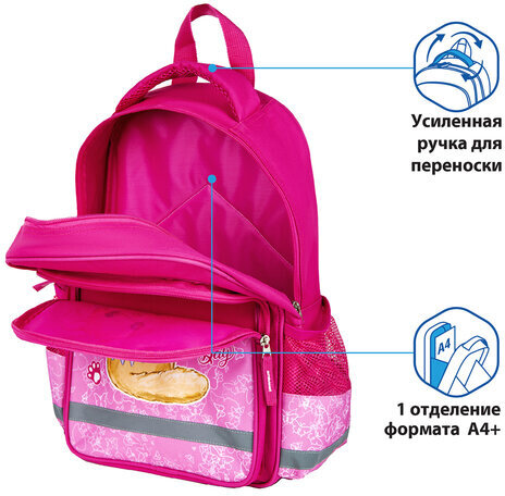 Рюкзак ПИФАГОР SCHOOL для начальной школы, "Cat day", 38x28х14 см, 270656