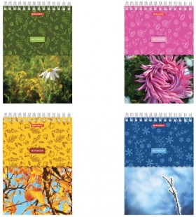 Блокнот А5 (146х205 мм), 60 л., гребень, картон, жесткая подложка, клетка, BRAUBERG, &quot;Четыре сезона&quot;, 129811