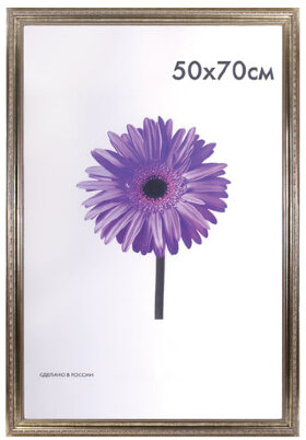 Рамка премиум 50х70 см, пластик, багет 33 мм, &quot;Dorothy&quot;, серебро, 0023-50-3330