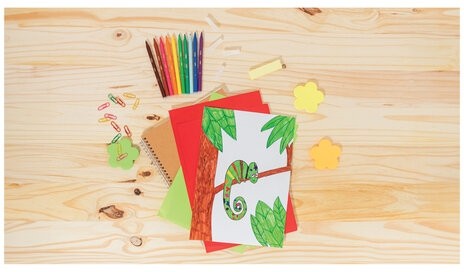 Фломастеры BIC "VISA", 18 цветов, суперсмываемые, вентилируемый колпачок, европодвес, 888681