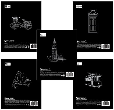 Тетрадь А5, 48 л., BRAUBERG, клетка, обложка картон, АКЦЕНТ, 403032