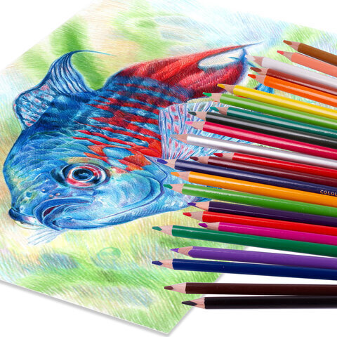 Карандаши цветные BRAUBERG PREMIUM, 36 цветов, трехгранные, грифель мягкий 3,3 мм, 181654