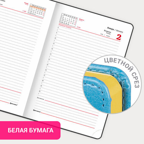 Ежедневник датированный 2024 А5 138x213 мм, BRAUBERG "Rainbow", под кожу, бирюзовый, 114869