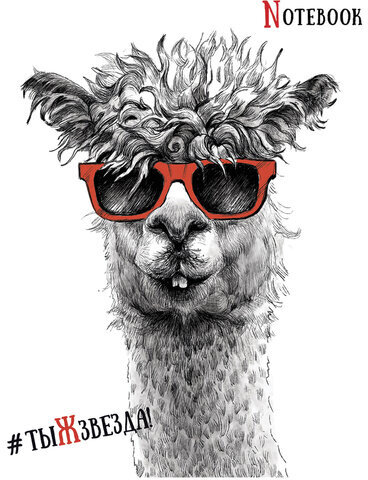 Тетрадь А5, 48 л., ПЗБМ, скоба, клетка, Soft Touch, выборочный лак, "Черно-белые звери" (5 видов), 027941