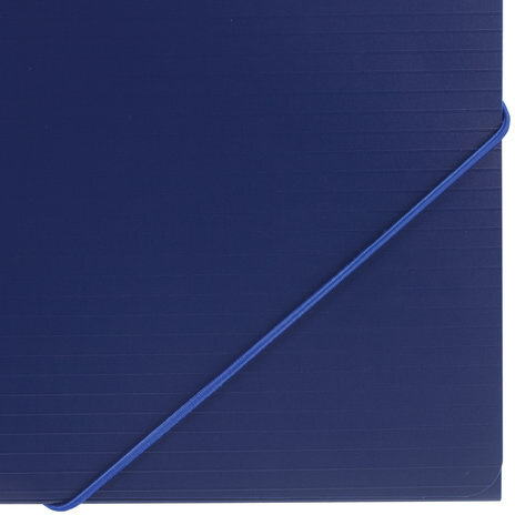 Папка на резинках BRAUBERG "Contract", синяя, до 300 листов, 0,5 мм, бизнес-класс, 221797