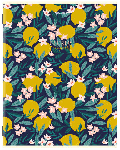 Тетради КОМПЛЕКТ 3 шт. А4, 96 л., BRAUBERG скоба, клетка, глянцевый лак, "Fruits", 404387