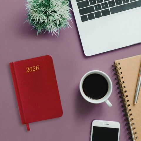 Ежедневник датированный 2026, МАЛЫЙ ФОРМАТ 100х150 мм, А6, BRAUBERG "Iguana", под кожу, красный, 117251