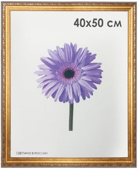 Рамка премиум 40х50 см, пластик, багет 33 мм, &quot;Dorothy&quot;, золото, 0023-16-4274