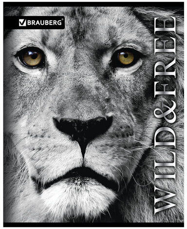 Тетрадь А5, 48 л., BRAUBERG, линия, обложка картон, ДИКИЕ И СВОБОДНЫЕ, 401897