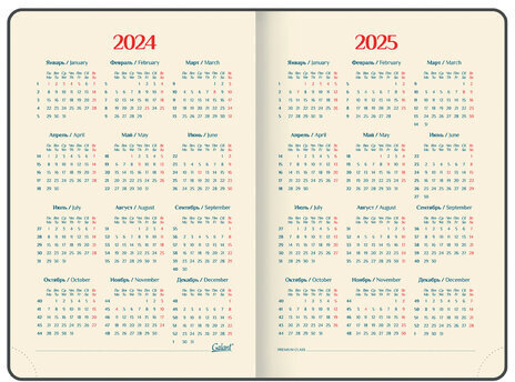 Ежедневник датированный 2024 А5 148х218 мм, GALANT "Infinity", под кожу, фиолетовый, 114770