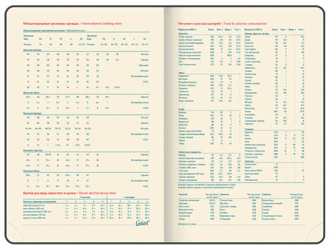 Ежедневник датированный 2024 А5 148х218 мм, GALANT "Infinity", под кожу, фиолетовый, 114770