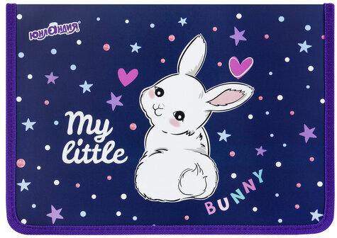 Папка для труда на молнии ЮНЛАНДИЯ А4, 1 отделение, откидная планка, органайзер, "Fluffy tail", 272220